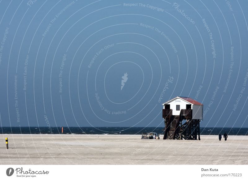 high up Joy Happy Far-off places Freedom Summer Summer vacation Sun Sunbathing Beach Ocean Landscape Elements Sand Water Sky Cloudless sky Beautiful weather