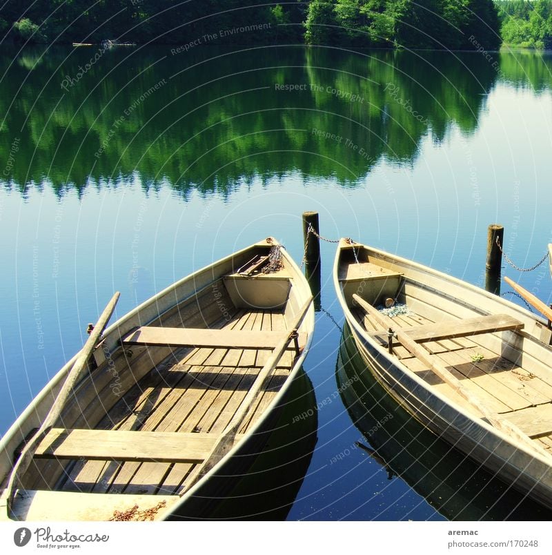 still lifes Colour photo Subdued colour Exterior shot Copy Space top Day Reflection Sunlight Relaxation Calm Fishing (Angle) Summer Forest Coast Lakeside