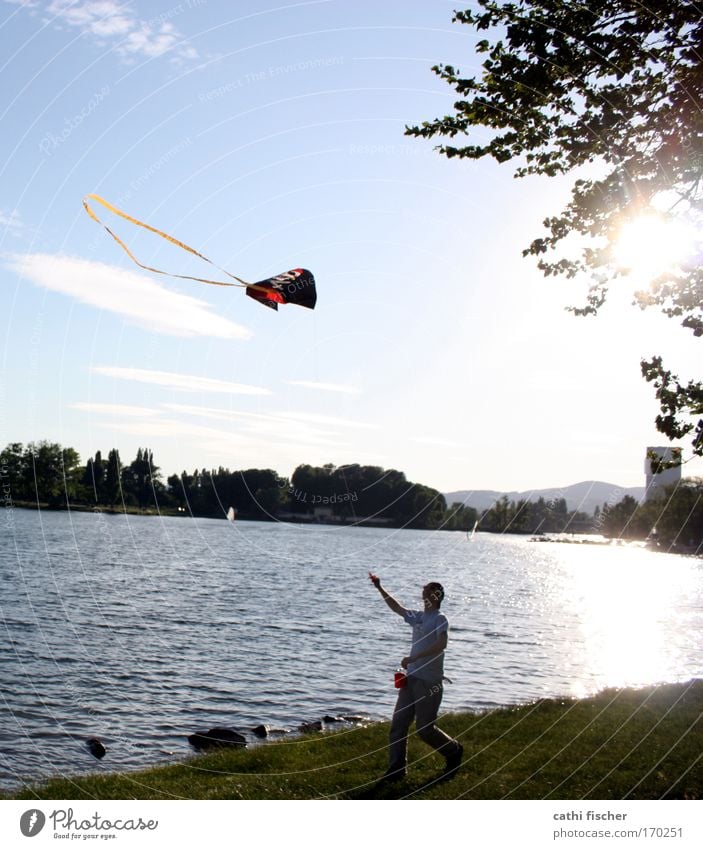 donau fun Colour photo Exterior shot Day Evening Light Contrast Reflection Sunlight Back-light Upward Leisure and hobbies Playing Summer Human being Masculine