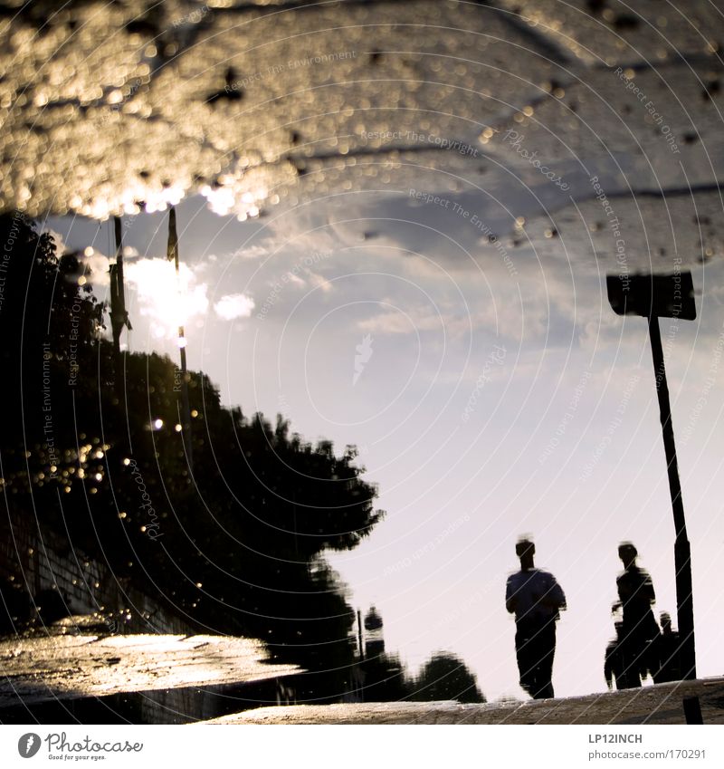 [HH 09.4/3] Puddle jogger Colour photo Exterior shot Close-up Copy Space middle Twilight Reflection Blur Shallow depth of field Leisure and hobbies Sports