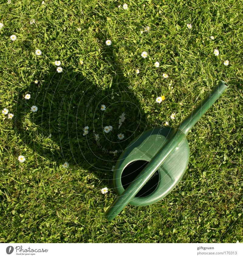 rainmaker Colour photo Exterior shot Deserted Shadow Bird's-eye view Flower Plastic Green Watering can pouring can principle lawnmower principle Rainmaker Cast