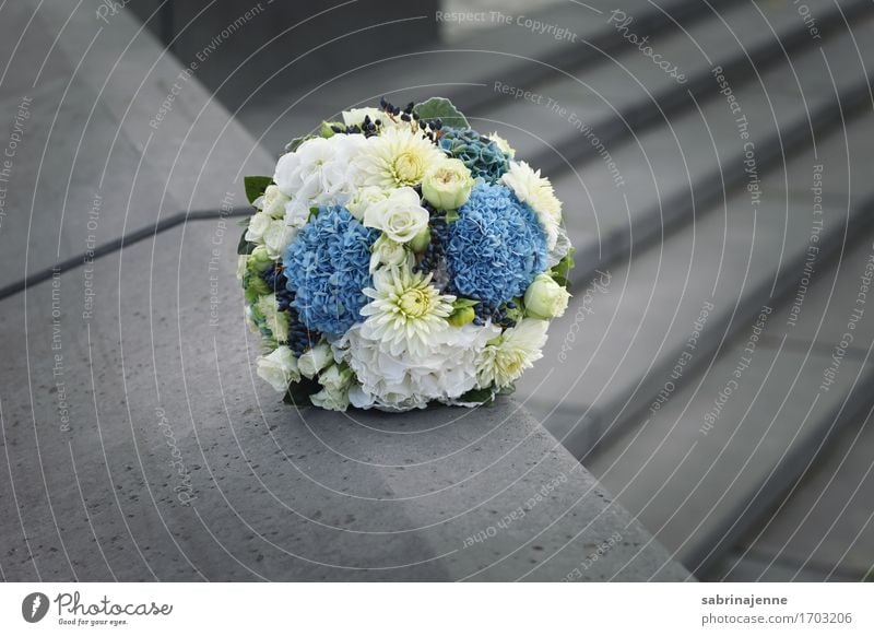 bridal bouquet Bouquet Happy Matrimony Wedding Flower Blue White Gray Isolated Image Love Bundle Wedding anniversary Colour photo Exterior shot Copy Space right