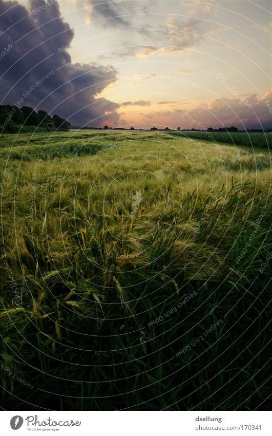 Before Storm II Colour photo Exterior shot Deserted Copy Space top Evening Twilight Light Shadow Silhouette Sunlight Sunrise Sunset Back-light