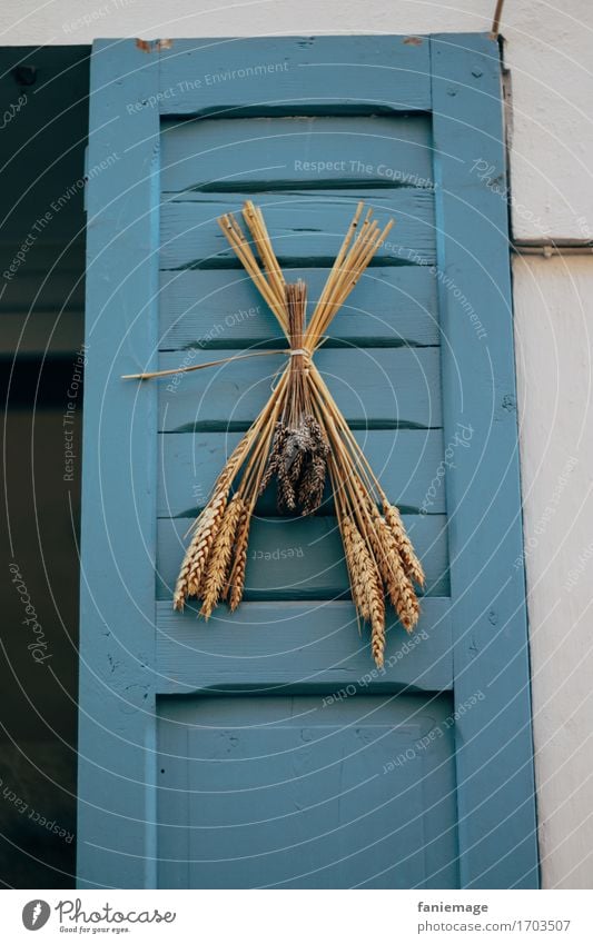 Blue door Door Beautiful Vacation & Travel Beach Summer Relaxation Ocean Grain House (Residential Structure) Wood White Light blue Mediterranean Southern France