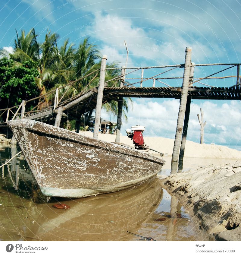 longtail Colour photo Subdued colour Exterior shot Day Central perspective Vacation & Travel Trip Adventure Beach Sand Water Palm tree Coast River bank Bay