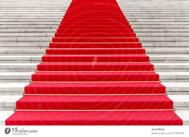 Red carpet II Luxury Elegant Style Carpet Party Event Going out Feasts & Celebrations Culture Shows Concert Opera Opera house Stairs Famousness Success Steps