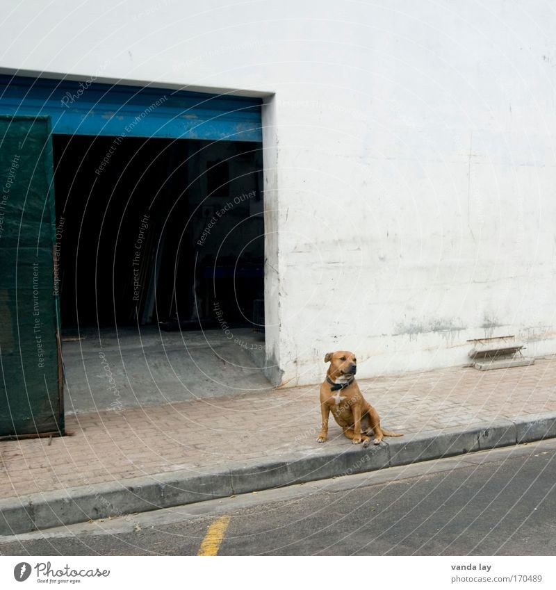 doormen Colour photo Subdued colour Exterior shot Deserted Copy Space right Copy Space middle Day Central perspective Looking away House (Residential Structure)