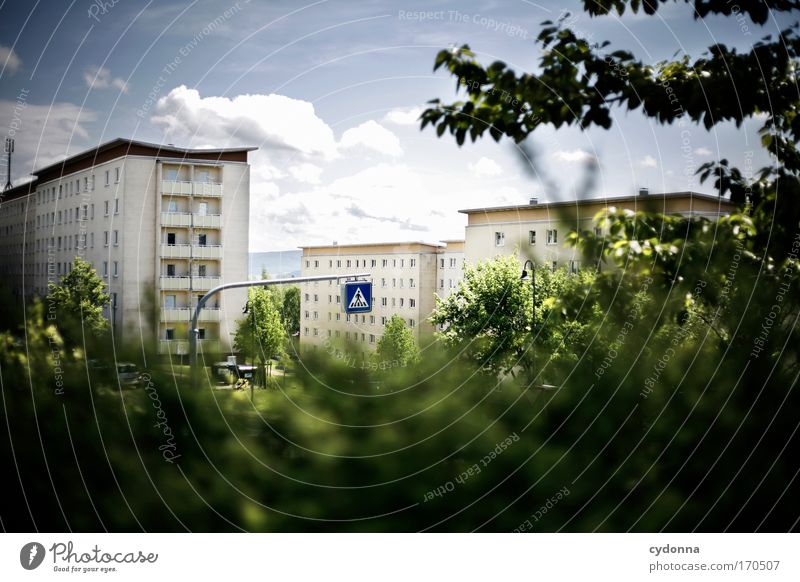 residential area Colour photo Exterior shot Detail Deserted Copy Space right Copy Space top Copy Space bottom Day Light Shadow Contrast Sunlight