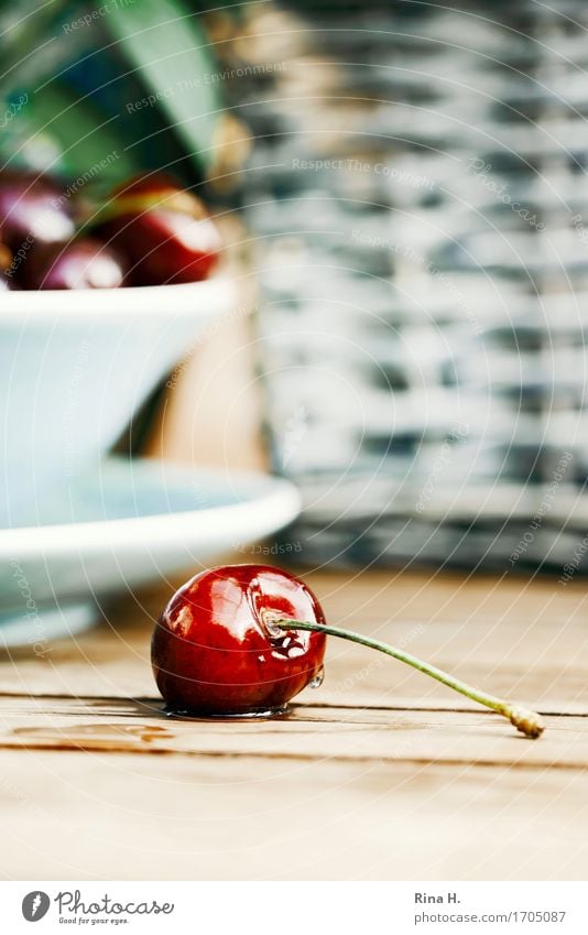 CherryStill Fruit Delicious Wet Sweet Still Life Food photograph Colour photo Exterior shot Deserted Copy Space bottom Shallow depth of field