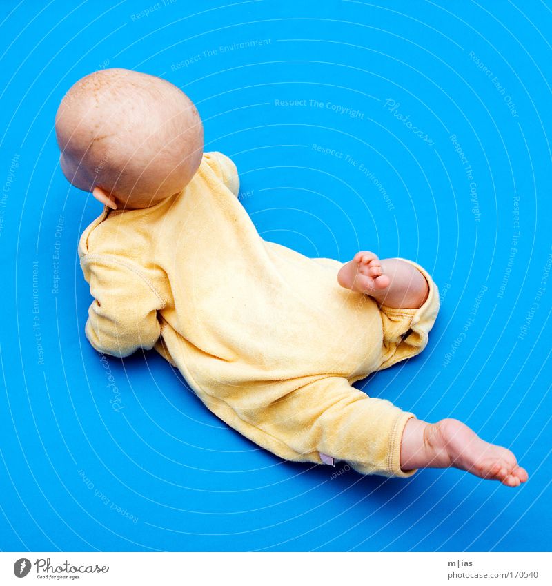 Diagonal without hair Colour photo Multicoloured Interior shot Studio shot Copy Space top Isolated Image Neutral Background Morning Day Artificial light