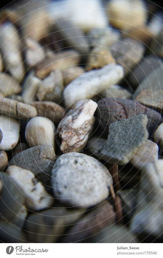 stone cold Colour photo Exterior shot Detail Macro (Extreme close-up) Deserted Day Blur Central perspective Environment Nature Landscape Elements Stone