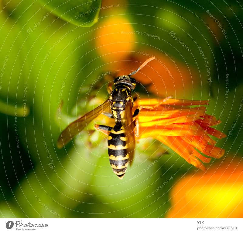 Recently in the nectar supermarket Colour photo Multicoloured Exterior shot Macro (Extreme close-up) Pattern Structures and shapes Deserted Day Shadow Contrast