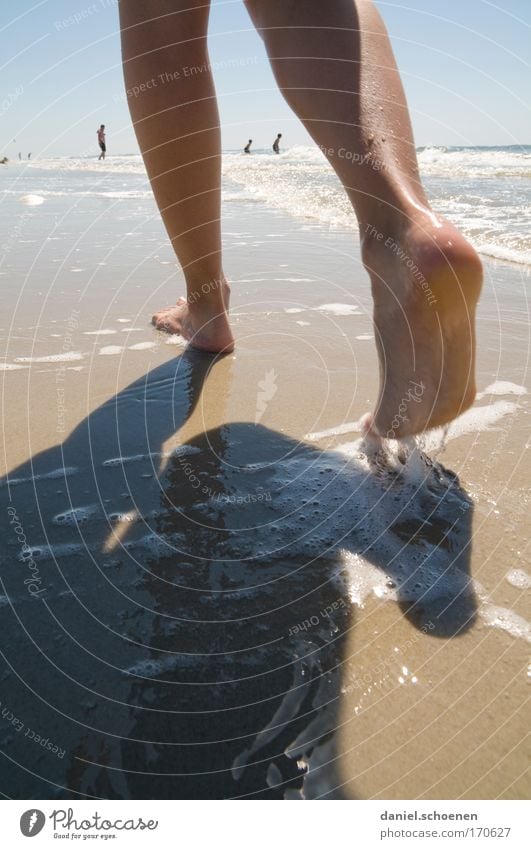 north sea Colour photo Subdued colour Exterior shot Close-up Copy Space bottom Day Light Shadow Sunlight Well-being Contentment Senses Relaxation Calm