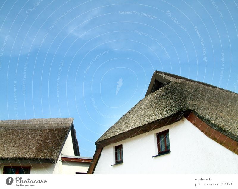 thatched roof Roof Ocean House (Residential Structure) Village Beach Vacation & Travel Architecture Marsh grass Common Reed Baltic Sea Living or residing