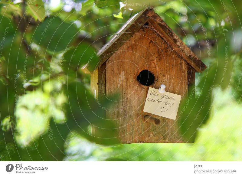 I'll be right back II Tree Leaf Garden Park Forest House (Residential Structure) Hut Signage Warning sign Original Living or residing Piece of paper Information