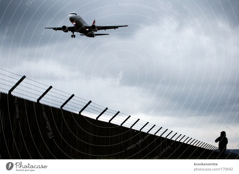 Rabbit and hedgehog Colour photo Exterior shot Long shot Aviation Masculine Child Boy (child) 1 Human being 3 - 8 years Infancy Transport Pedestrian Airplane