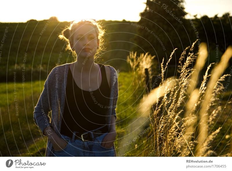 Alexa and the blades of grass. Feminine Young woman Youth (Young adults) 1 Human being 18 - 30 years Adults Environment Nature Landscape Horizon Sun Summer