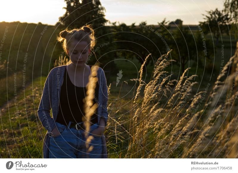 Alexa in the evening light. Human being Feminine Young woman Youth (Young adults) 1 18 - 30 years Adults Environment Nature Landscape Sun Sunrise Sunset Summer