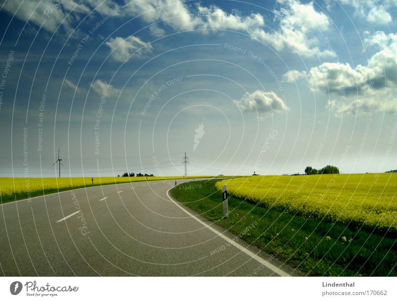 Raps Street 2 Colour photo Exterior shot Deserted Copy Space left Copy Space right Copy Space top Copy Space bottom Copy Space middle Day daylight Sunlight