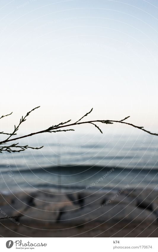 convergence Colour photo Subdued colour Exterior shot Evening Twilight Landscape Water Sky Horizon Sunrise Sunset Waves Coast Fresh Large Infinity Blue Calm