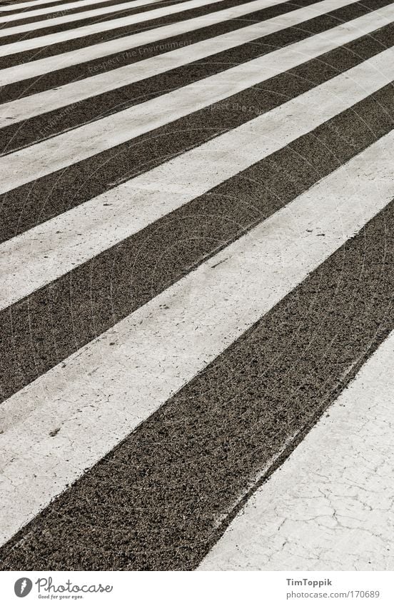 Streets and Stripes Exterior shot Deserted Transport Traffic infrastructure Passenger traffic Gray Black White Pattern Zebra Zebra crossing Pedestrian crossing