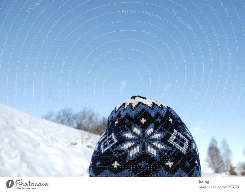 snowflakes Looking into the camera Winter vacation Winter festival Skier Cross-country skier Beautiful weather Snow Mountain Cap Observe Freeze Hiking Blue