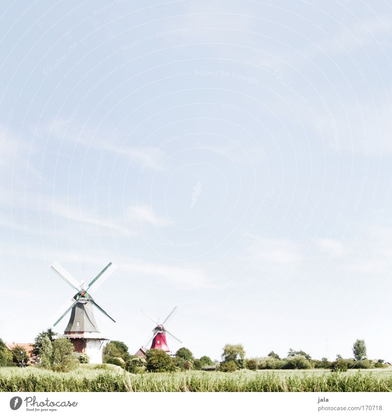 Idyllic weekend Subdued colour Exterior shot Deserted Copy Space top Day Landscape Sky Spring Beautiful weather Plant Tree Grass Foliage plant Meadow Field