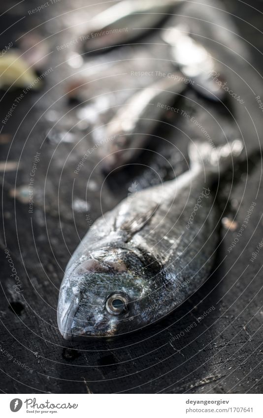 Raw Sea bream fish on dark Seafood Lunch Dinner Diet Ocean Gastronomy Wood Dark Fresh Delicious Black White cooking healthy gilthead Tasty Meal Ingredients