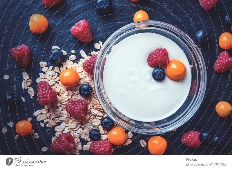 Breakfast with berries from above Food Yoghurt Dairy Products Fruit Grain Nutrition Organic produce Vegetarian diet Diet Bowl Healthy Healthy Eating Fitness