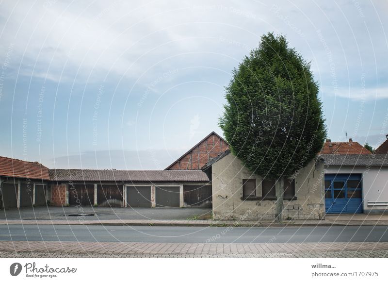 deserted street, closed shutters, garages and a tree Garage Garage door Street Sidewalk Gloomy Deserted Building urban houses Tree Workshop