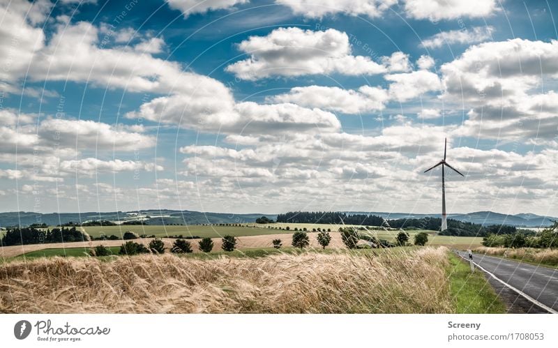 Fluffy and energetic... Energy industry Renewable energy Wind energy plant Nature Landscape Plant Sky Clouds Summer Beautiful weather Grass Bushes Meadow Field