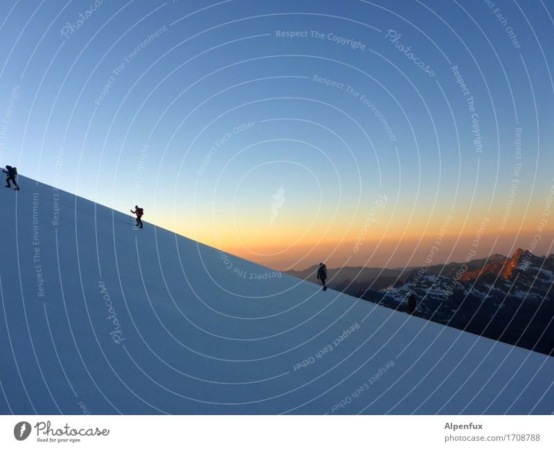 sunrise Climbing Mountaineering Rope team Environment Nature Landscape Sky Cloudless sky Sunrise Sunset Beautiful weather Snow Rock Alps Monte Rosa Peak