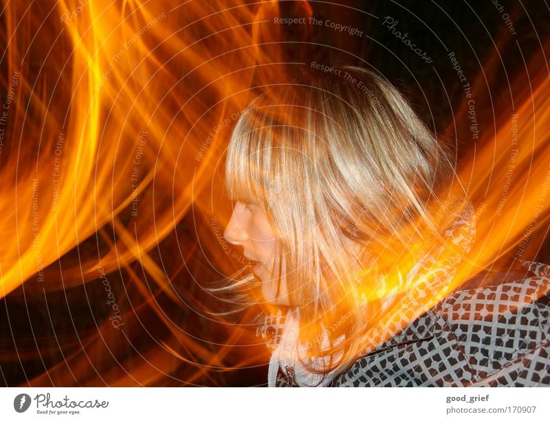 incidence of light Colour photo Multicoloured Exterior shot Close-up Detail Experimental Abstract Copy Space left Evening Night Flash photo Light Silhouette