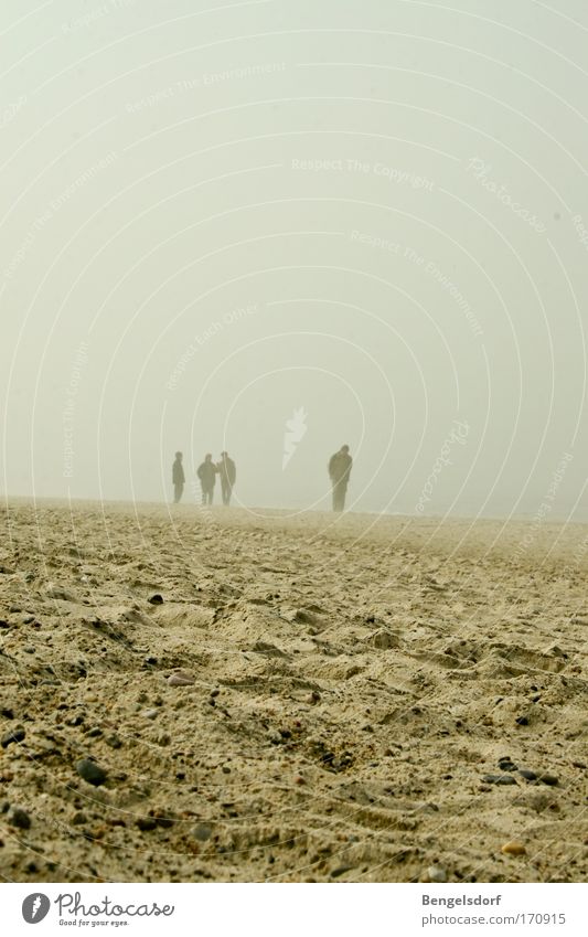 There came a silence Subdued colour Exterior shot Copy Space top Vacation & Travel Trip Far-off places Freedom Beach Ocean 4 Human being Sand Wind Gale Fog