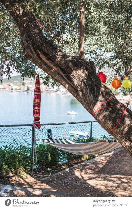 Hammock under the olive trees on the beach Beautiful Relaxation Vacation & Travel Camping Summer Beach Ocean Island Nature Landscape Sand Sky Tree Coast Under