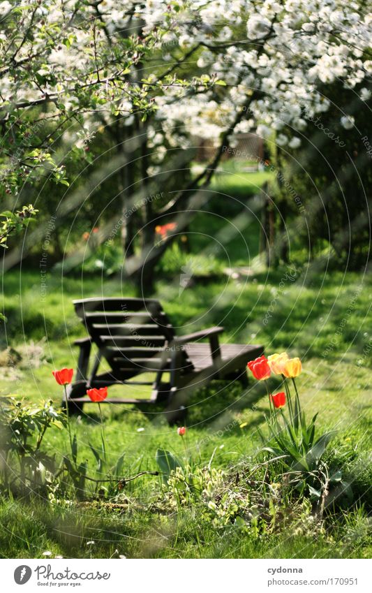 recliner Colour photo Exterior shot Detail Deserted Copy Space top Copy Space bottom Day Shadow Contrast Sunlight Deep depth of field Central perspective