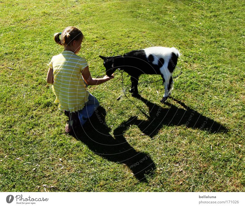 I did not find a single leaflet... Animal Farm animal Pelt 1 Baby animal Emotions Moody Joy Happy Happiness Contentment Joie de vivre (Vitality) Enthusiasm