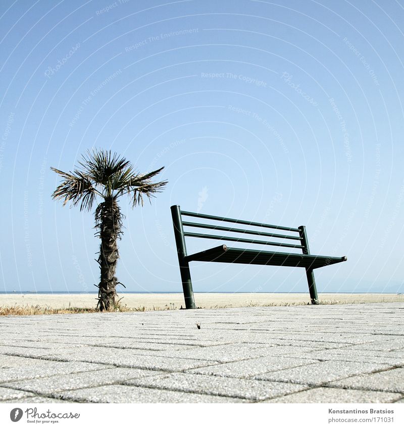 A place in the sun Colour photo Exterior shot Deserted Copy Space right Copy Space top Copy Space bottom Neutral Background Day Sunlight Worm's-eye view