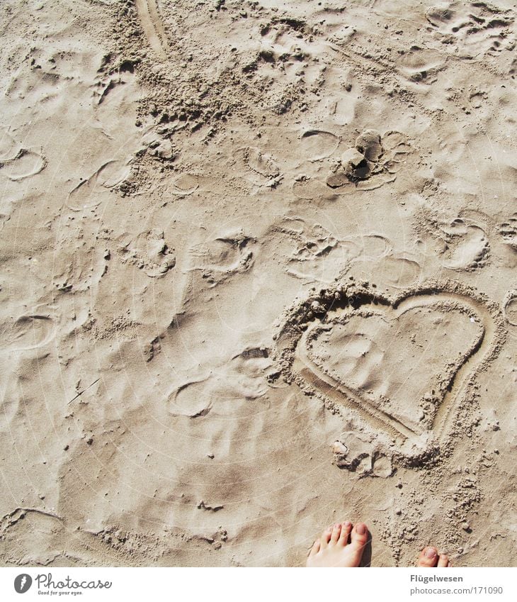 Welcome to the beach Colour photo Exterior shot Well-being Contentment Relaxation Calm Leisure and hobbies Summer Summer vacation Sun Feet Coast Lakeside Beach