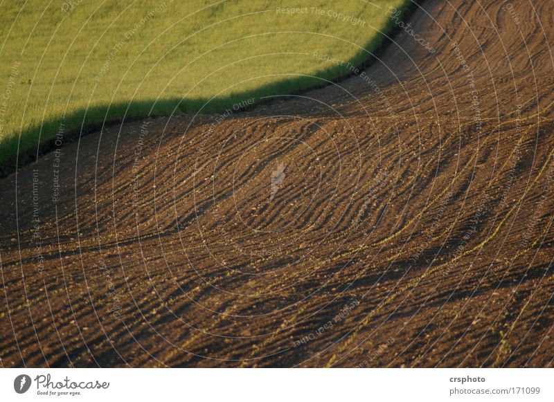 Clear edge Colour photo Exterior shot Deserted Copy Space left Copy Space bottom Evening Shadow Sunrise Sunset Central perspective Environment Nature Landscape