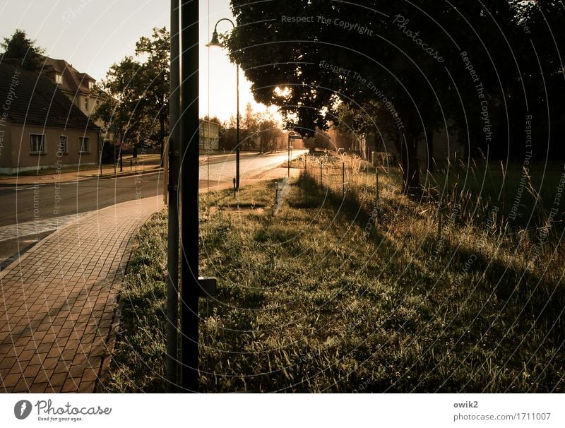 wait for the bus Nature Landscape Cloudless sky Horizon Climate Beautiful weather Tree Grass Village House (Residential Structure) Building Bus stop Shelter