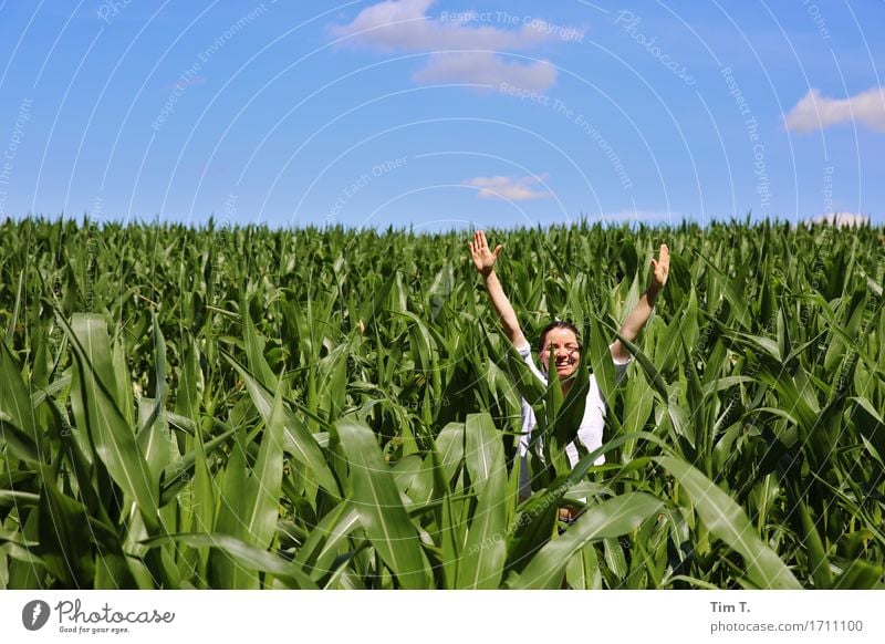 maize field Human being Feminine Woman Adults Head Arm Hand 1 30 - 45 years Environment Sky Horizon Field Power Girl Maize Clouds Green Blue Colour photo