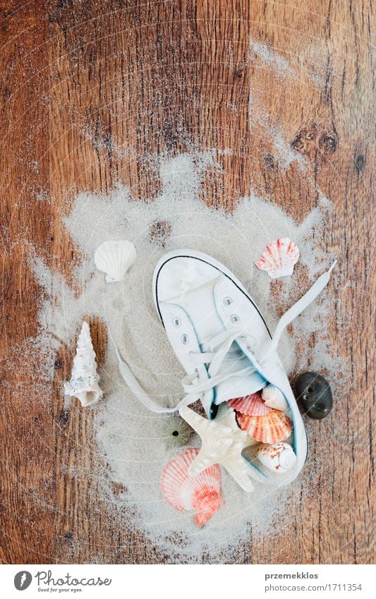 Treasures from the sea Vacation & Travel Summer Summer vacation Beach Ocean Sand Footwear Sneakers Souvenir Wood Brown background Copy Space Feather holiday