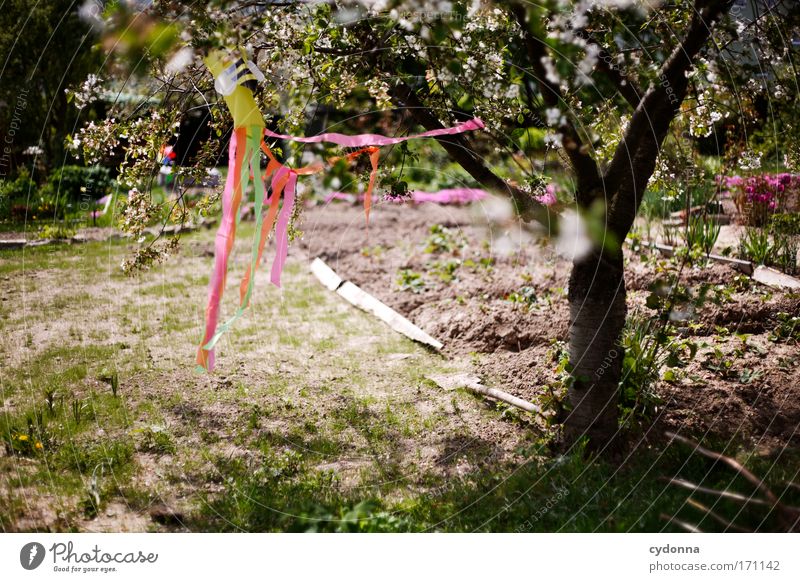 still wind Colour photo Exterior shot Detail Deserted Copy Space left Copy Space right Copy Space bottom Day Shadow Contrast Sunlight Shallow depth of field