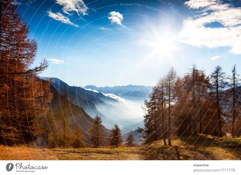 Mountain landscape in autumn Beautiful Vacation & Travel Tourism Sun Winter Snow Nature Landscape Sky Autumn Tree Forest Alps Moody Ancient Antique aosta Europe