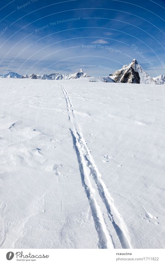 Ski track on fresh snow Matterhorn glacier Switzerland Beautiful Vacation & Travel Tourism Adventure Expedition Winter Snow Mountain Sports Skiing Nature