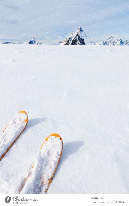 Ski tips on a glacier in background the Matterhorn Joy Vacation & Travel Tourism Adventure Winter Snow Mountain Sports Skiing Skis Nature Landscape Sky Alps