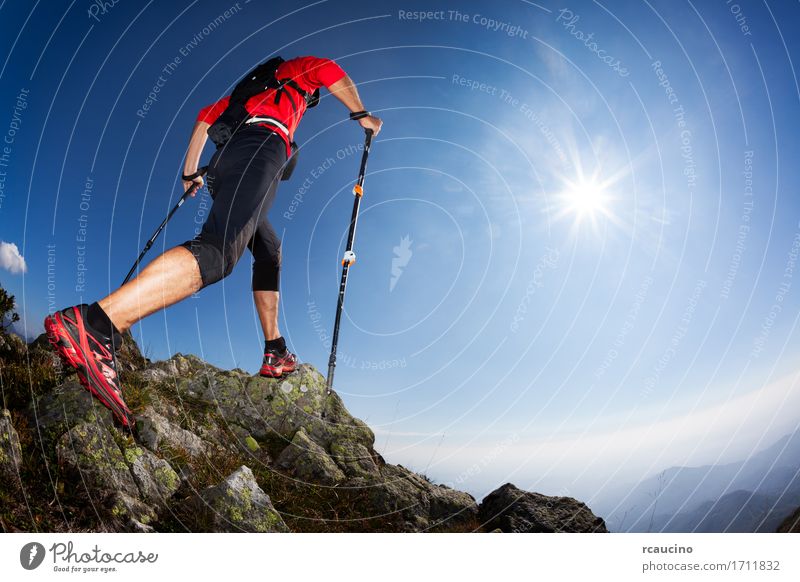 Skyrunning: rear view of a young male runner Freedom Summer Sun Mountain Hiking Sports Human being Man Adults Nature Landscape Lanes & trails Shirt Red Power