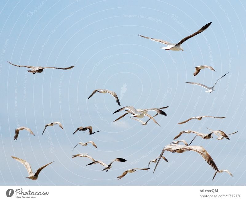 Bird's-eye view. Colour photo Multicoloured Exterior shot Aerial photograph Deserted Copy Space top Neutral Background Day Sunlight Deep depth of field