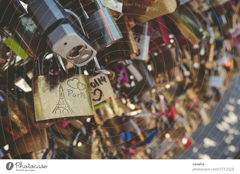 Oh, Paris! Capital city Many Crazy Lock Display of affection Love Romance France Chain Full Crowded Kitsch Valentine's Day Beautiful Infatuation Relationship